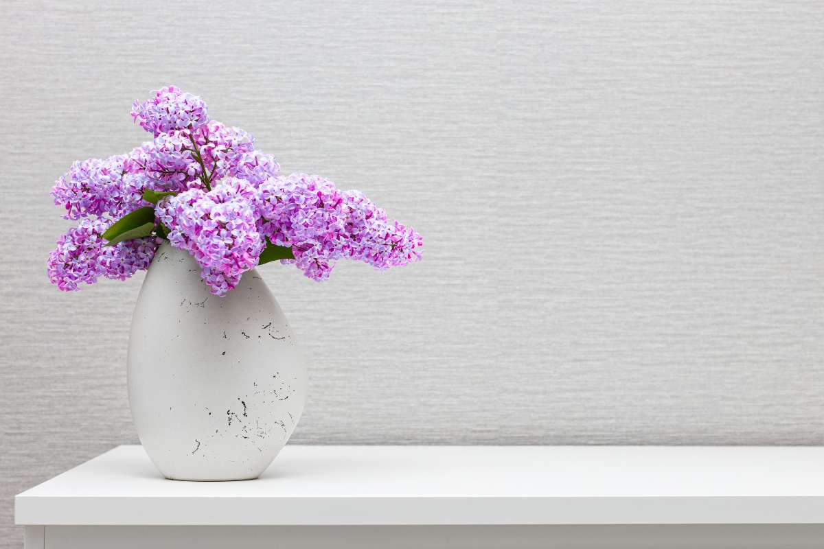 Un jarrón blanco con flores moradas sobre una mesa, creando un ambiente elegante y colorido.