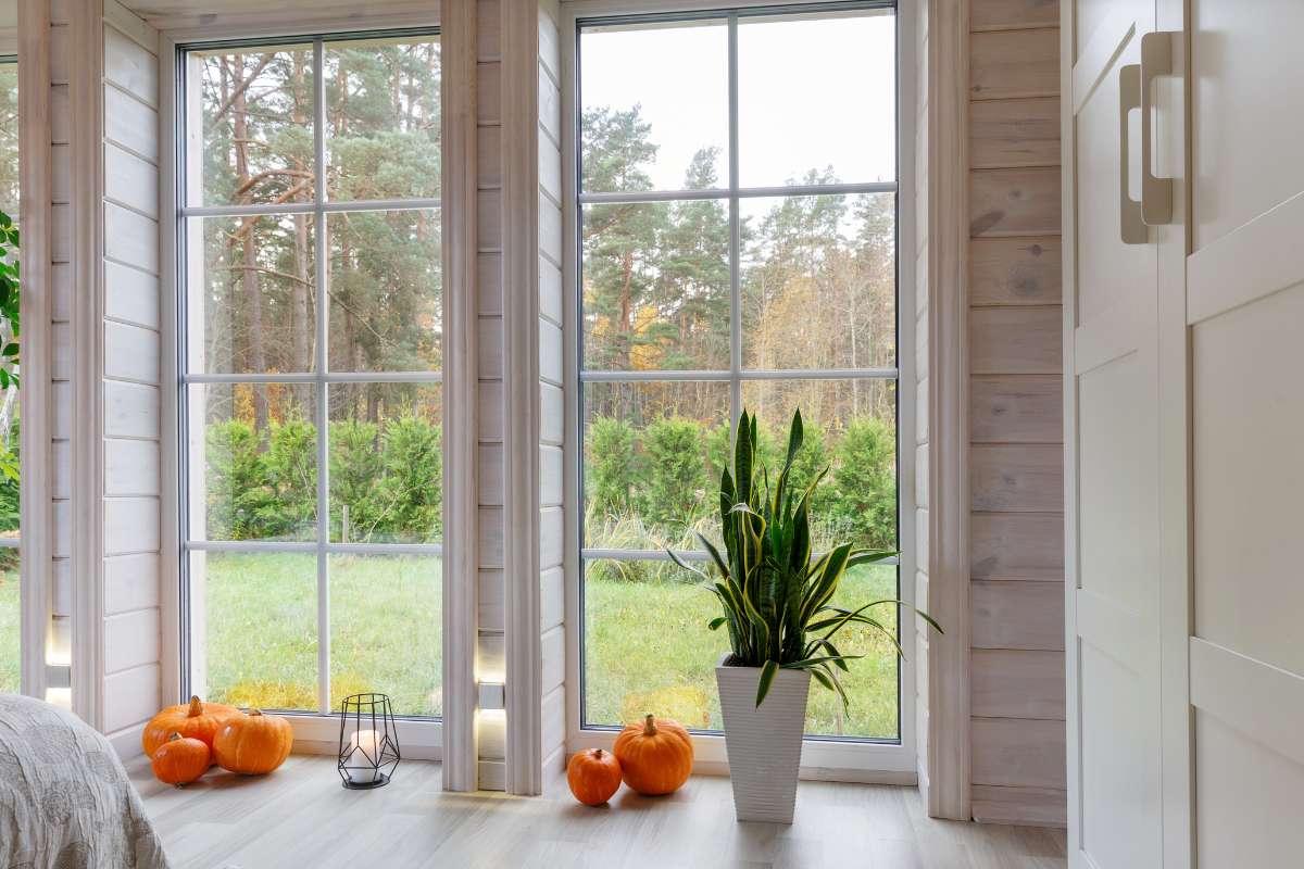Habitación acogedora con cama, ventana que deja entrar luz y plantas en macetas que decoran el espacio.